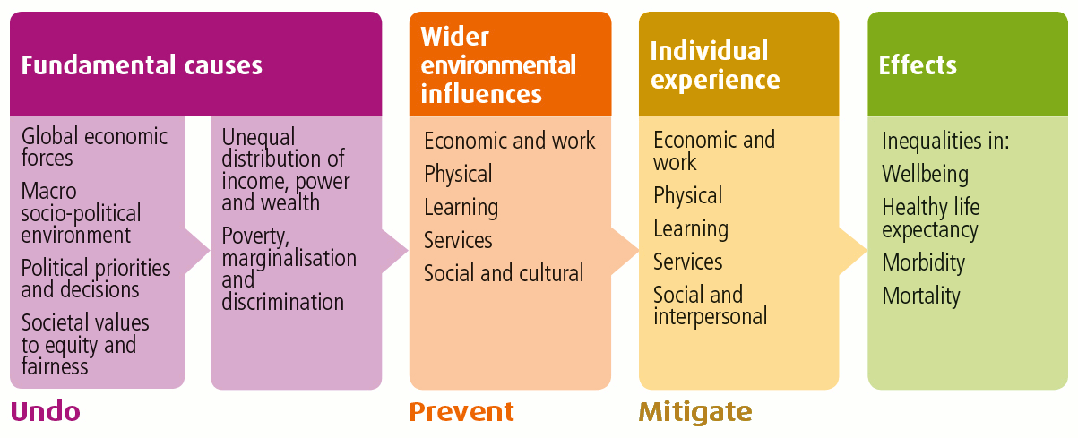 The starting point is the left-hand side of the model, and what WHO calls the ‘fundamental causes’. These are: global economic forces; the macro socio-political environment; political priorities and decisions; societal values to equity and fairness; unequal distribution of income, power and wealth; and poverty, marginalisation and discrimination. 
Moving along the model we can see that these fundamental causes in turn influence the distribution of ‘wider environmental influences’. These are: Economic and work, Physical, Learning, Services, Social and cultural.
Moving to the next box we can see that these influences shape people's ‘individual experience’ of the following: Economic and work, Physical, Learning, Services, Social and interpersonal.
This results in the effects we see in the last box of the model: inequalities in wellbeing, healthy life expectancy, morbidity and mortality.